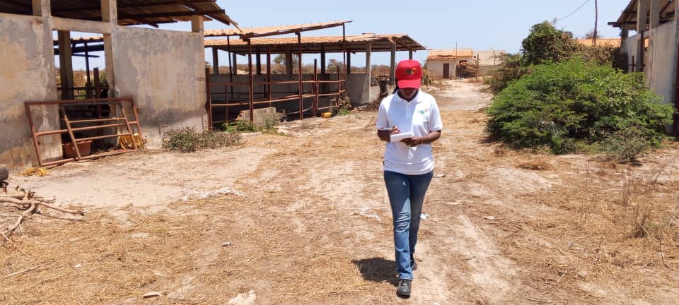 Mme Ndèye Ndjira Faye en inspection sur site — Groupe 2NF